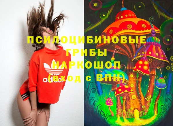 гашик Армянск