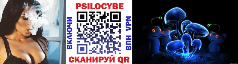 Псилоцибиновые грибы Psilocybe купить сайты Инсар